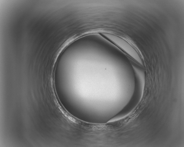 X0000051250813200507082148