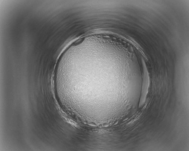 X0000051250814200507082148