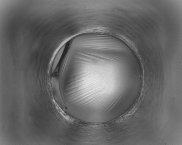 X0000051250816200507082148