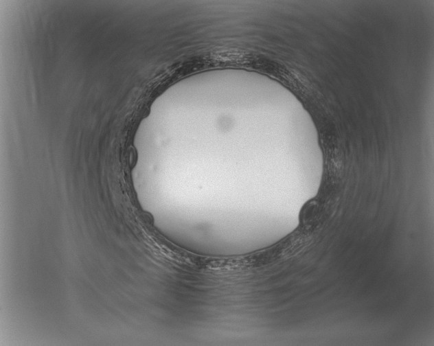 X0000051250817200507082148