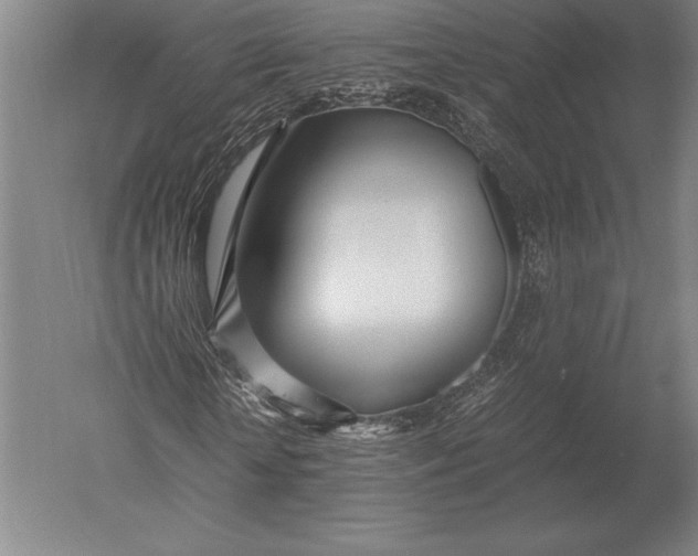 X0000051250818200507082148