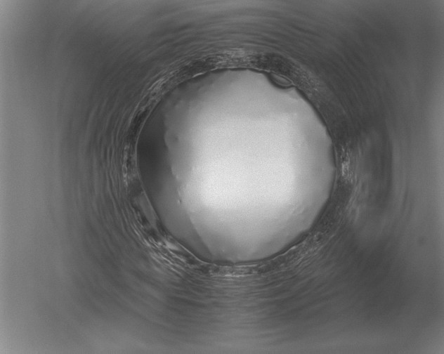 X0000051250819200507082148