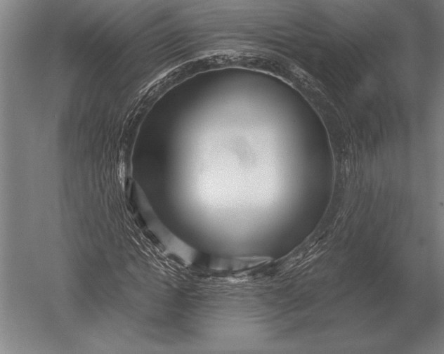 X0000051250822200507082148