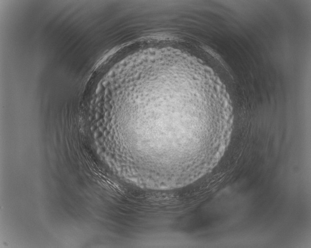 X0000051250823200507082148