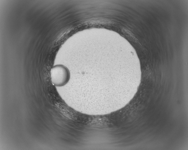 X0000051250824200507082148