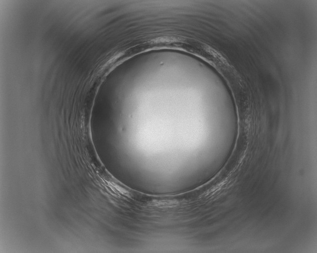 X0000051250825200507082148