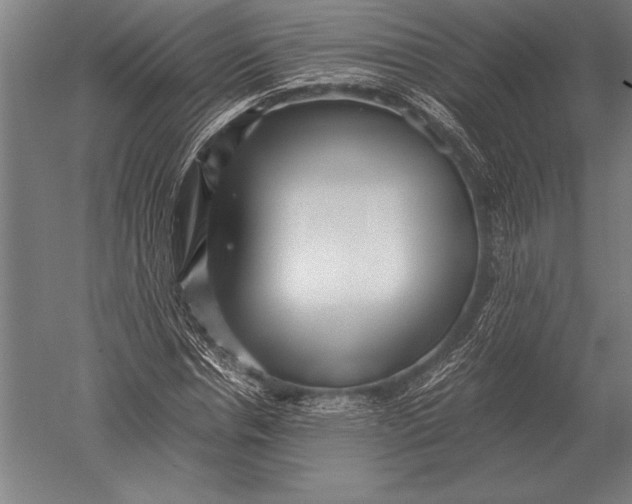 X0000051250826200507082148