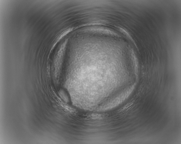 X0000051250827200507082148