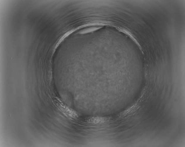 X0000051250829200507082148