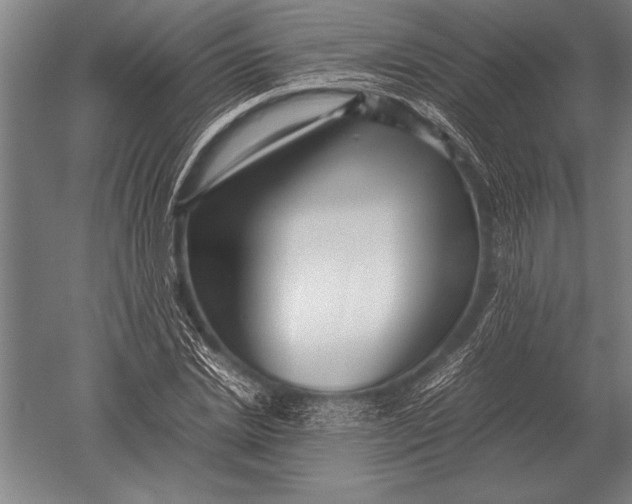 X0000051250830200507082148