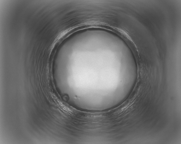 X0000051250831200507082148