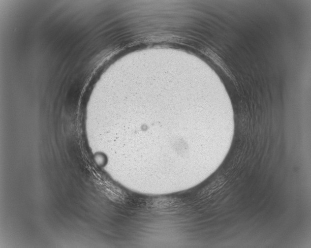 X0000051250832200507082148