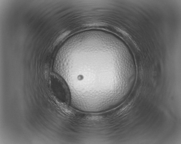 X0000051250833200507082148