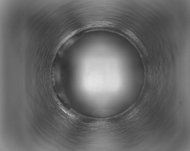 X0000051250834200507082148