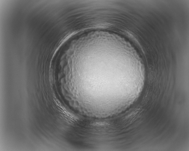 X0000051250835200507082148