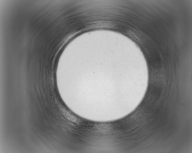 X0000051250836200507082148