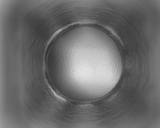 X0000051250837200507082148