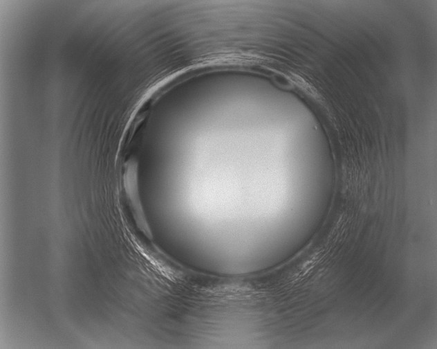 X0000051250838200507082148