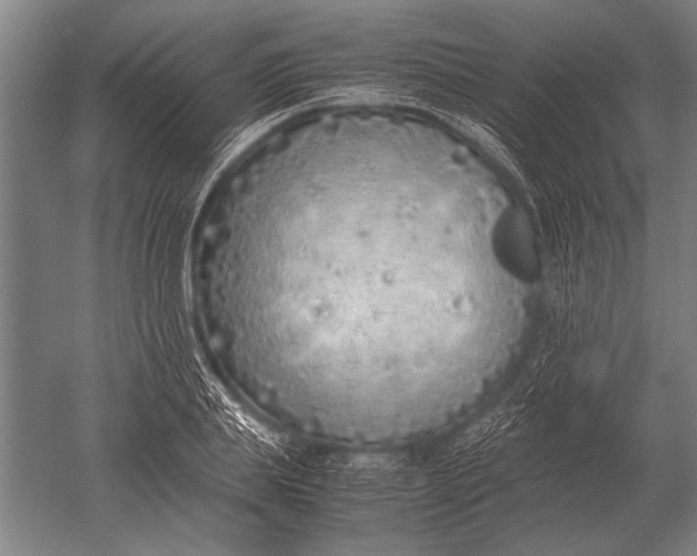 X0000051250839200507082148