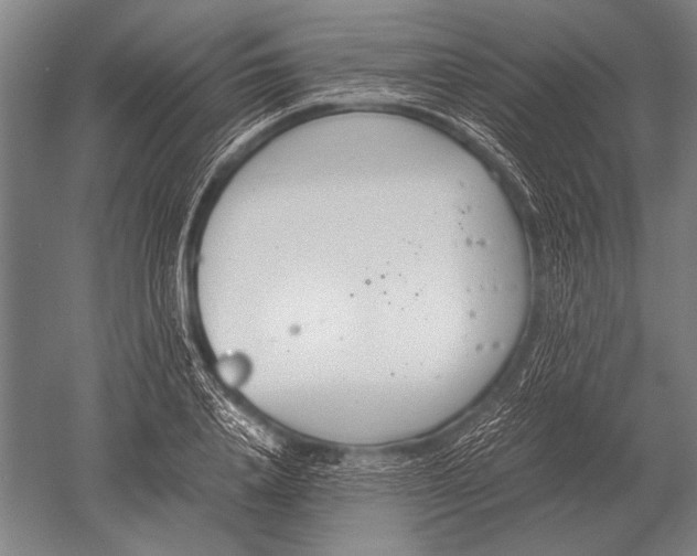 X0000051250840200507082148