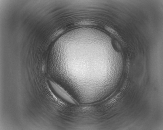 X0000051250841200507082148