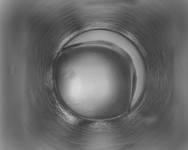 X0000051250842200507082148