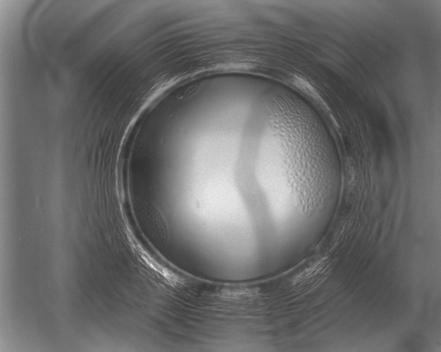 X0000051250843200507082148