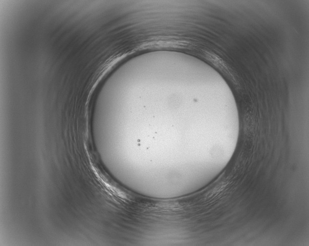 X0000051250844200507082148