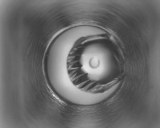 X0000051250846200507082148