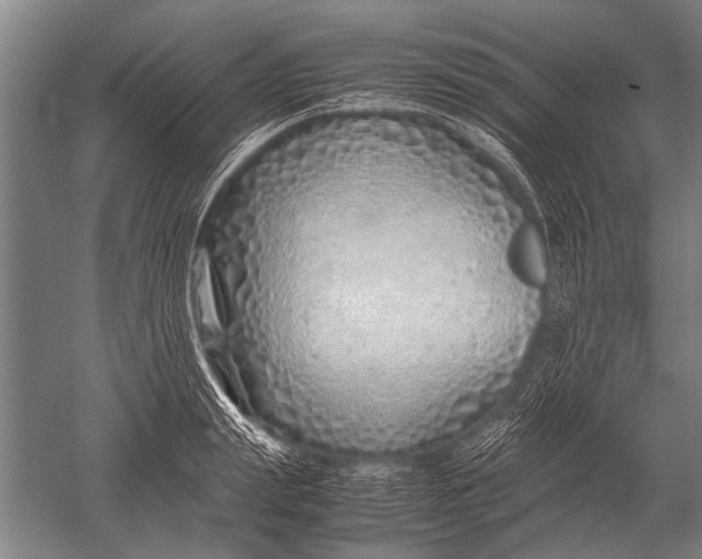 X0000051250847200507082148