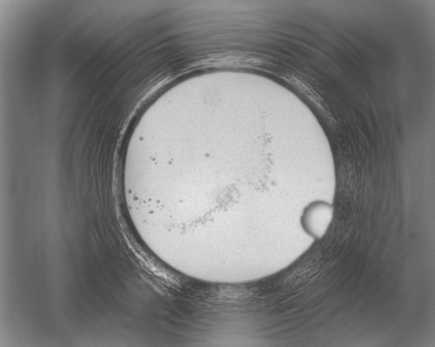 X0000051250848200507082148