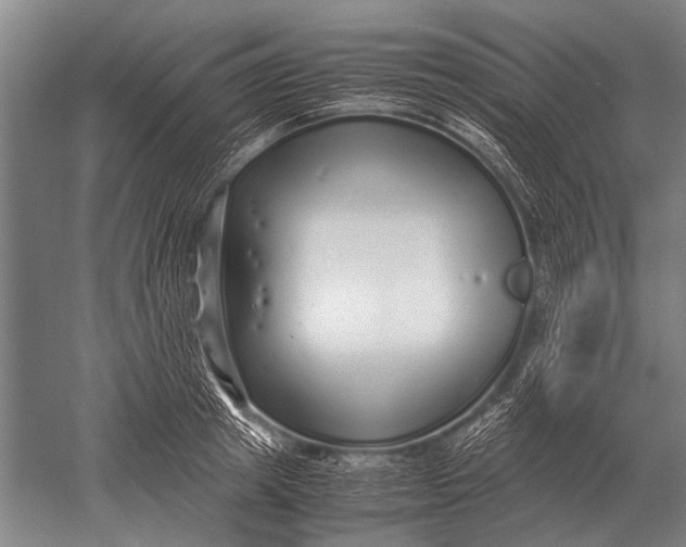 X0000051250849200507082148