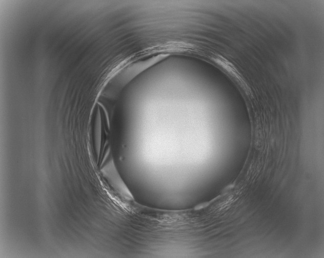 X0000051250850200507082148