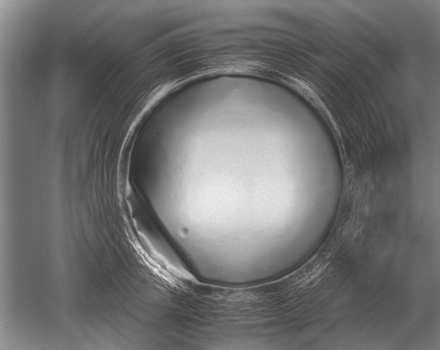 X0000051250851200507082148