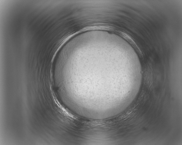 X0000051250852200507082148