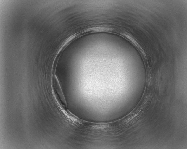 X0000051250853200507082148