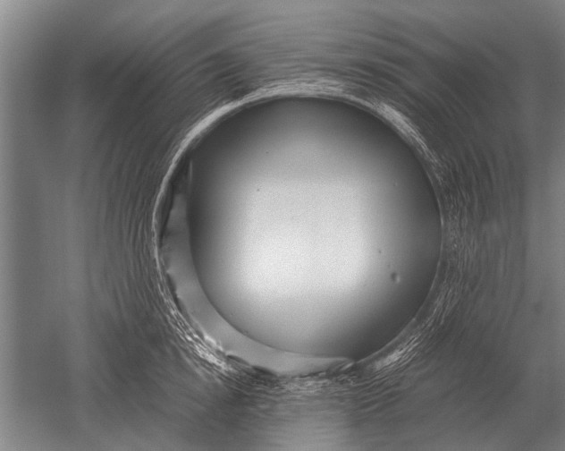 X0000051250854200507082148