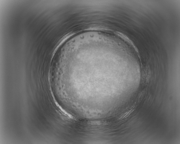 X0000051250855200507082148