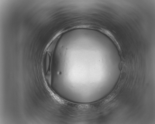 X0000051250859200507082148