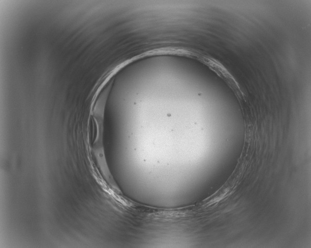 X0000051250860200507082148