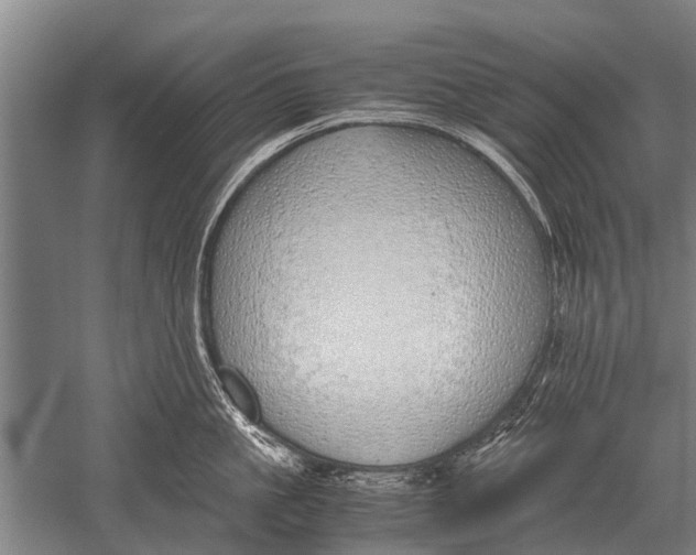 X0000051250861200507082148