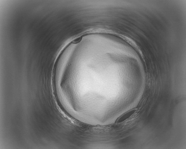 X0000051250863200507082148