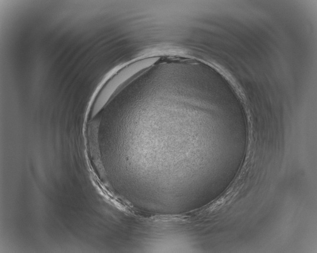 X0000051250864200507082148