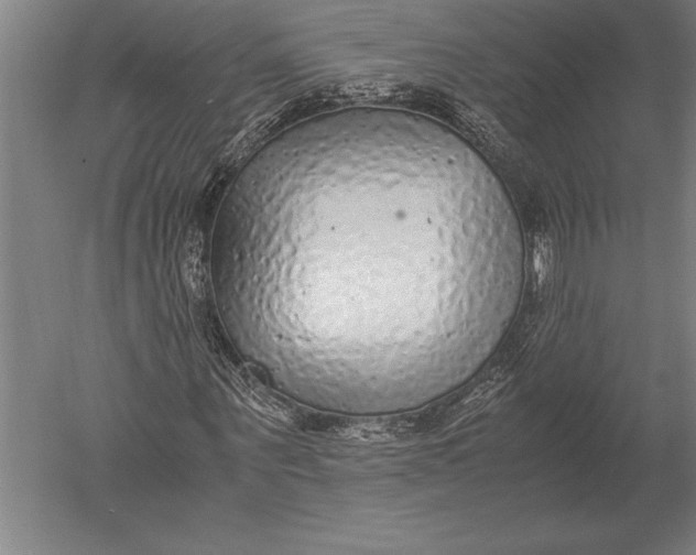 X0000051250867200507082148