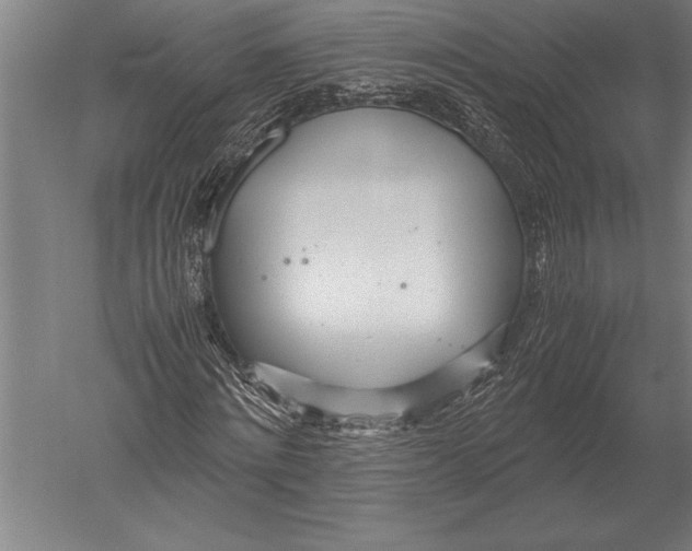 X0000051250868200507082148