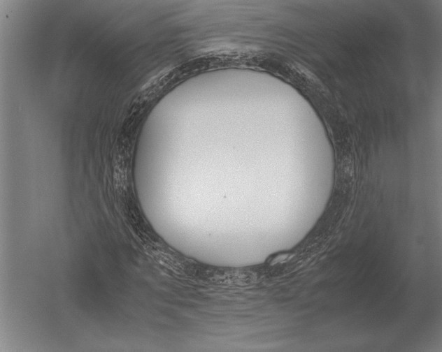 X0000051250869200507082147