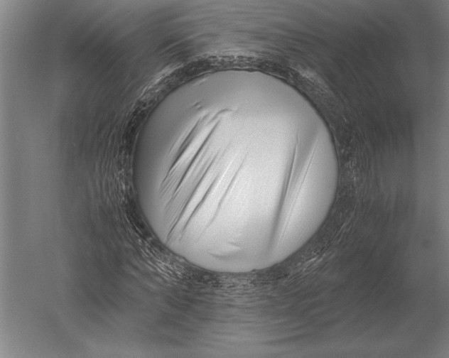 X0000051250870200507082147