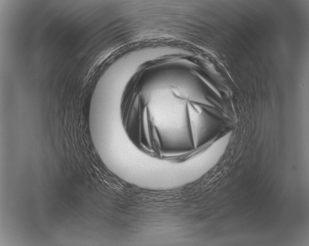 X0000051250871200507082147