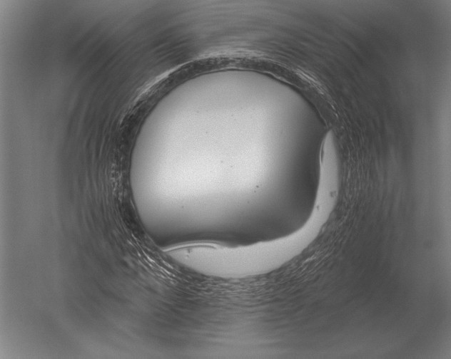 X0000051250872200507082147