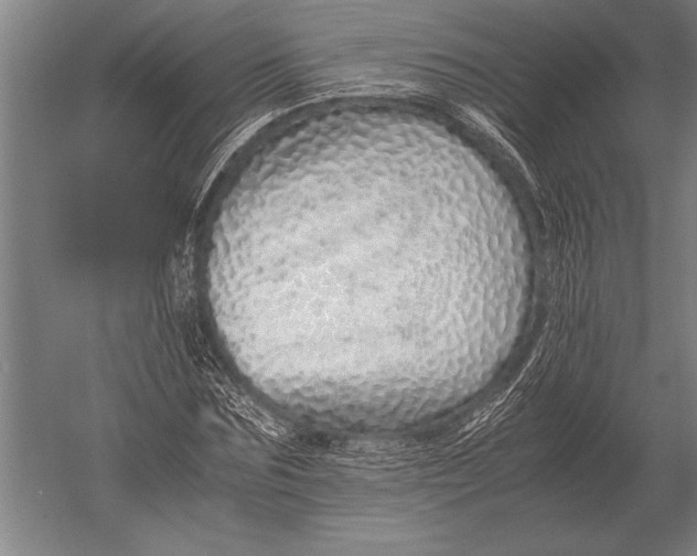 X0000051250875200507082147